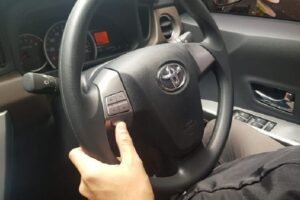 Audio Steering Switch